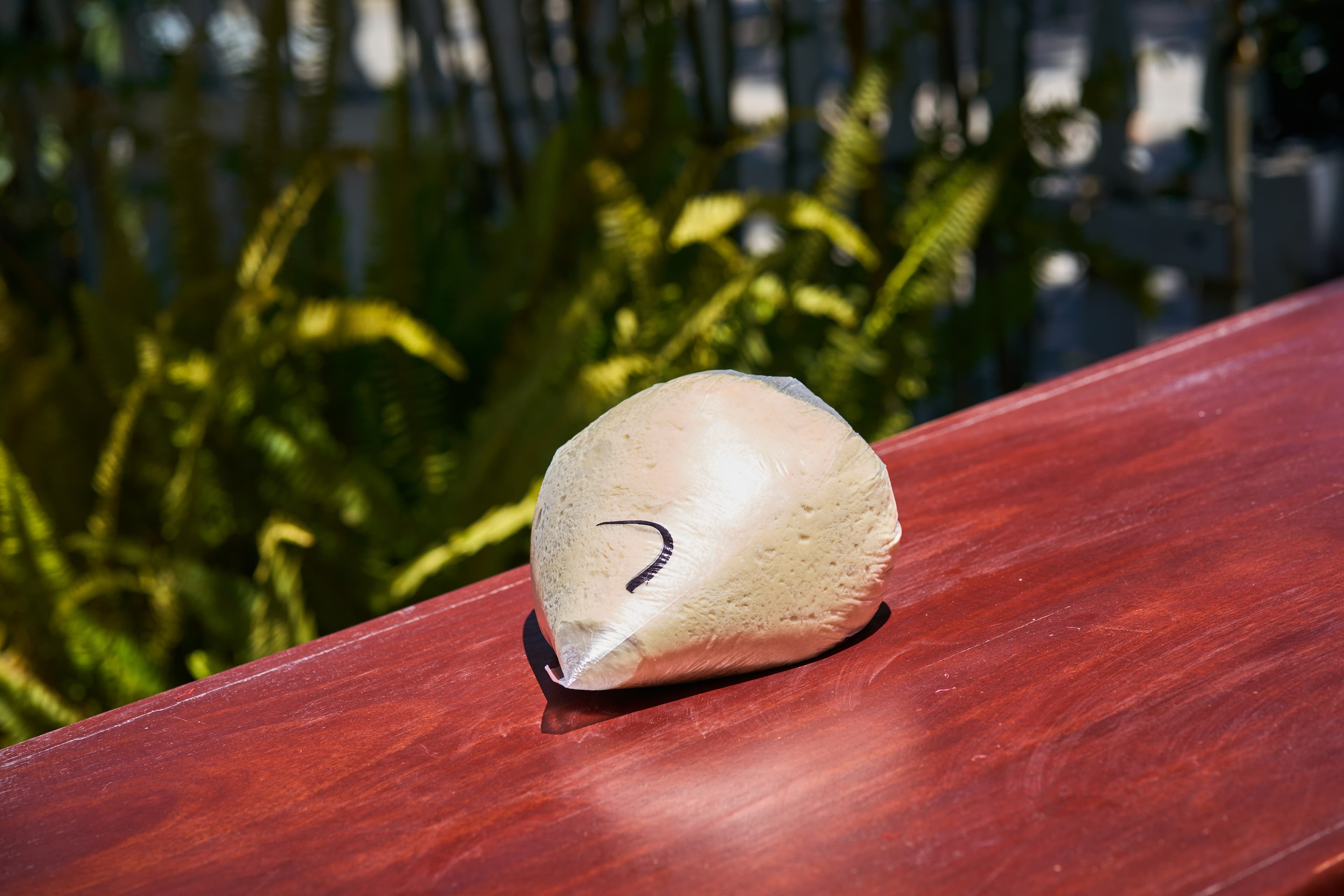 Dough Ball