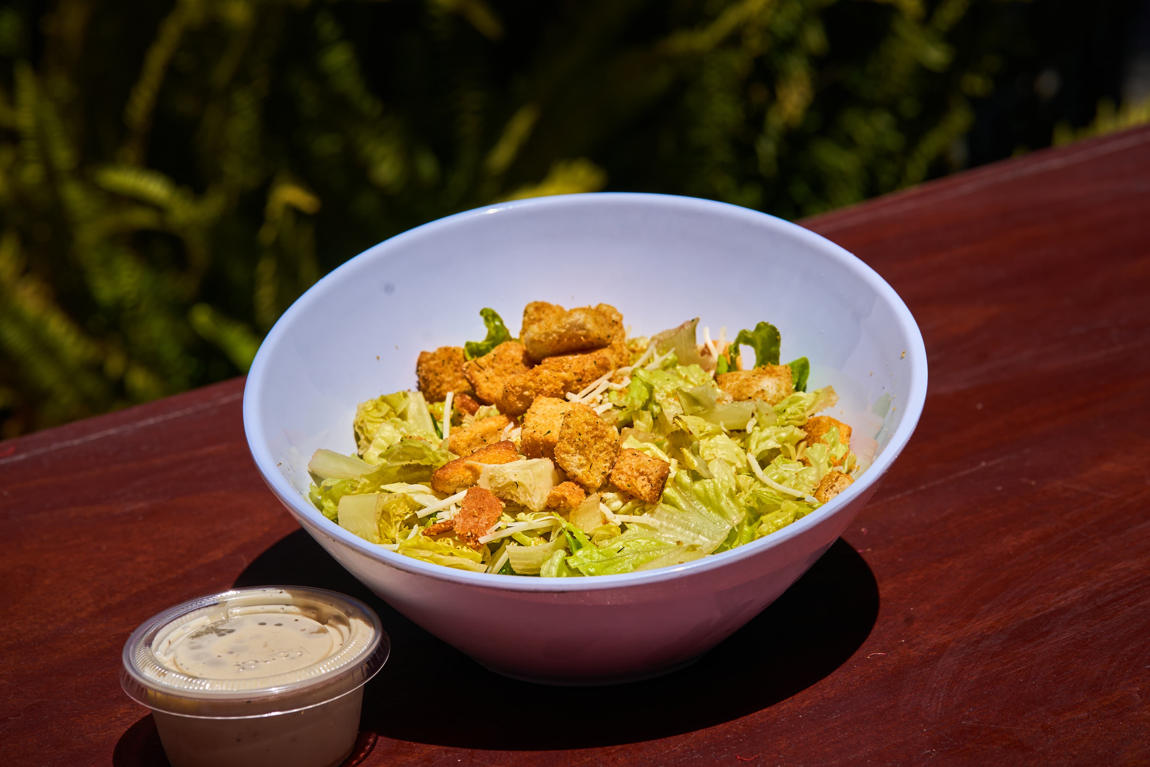 Caesar Salad