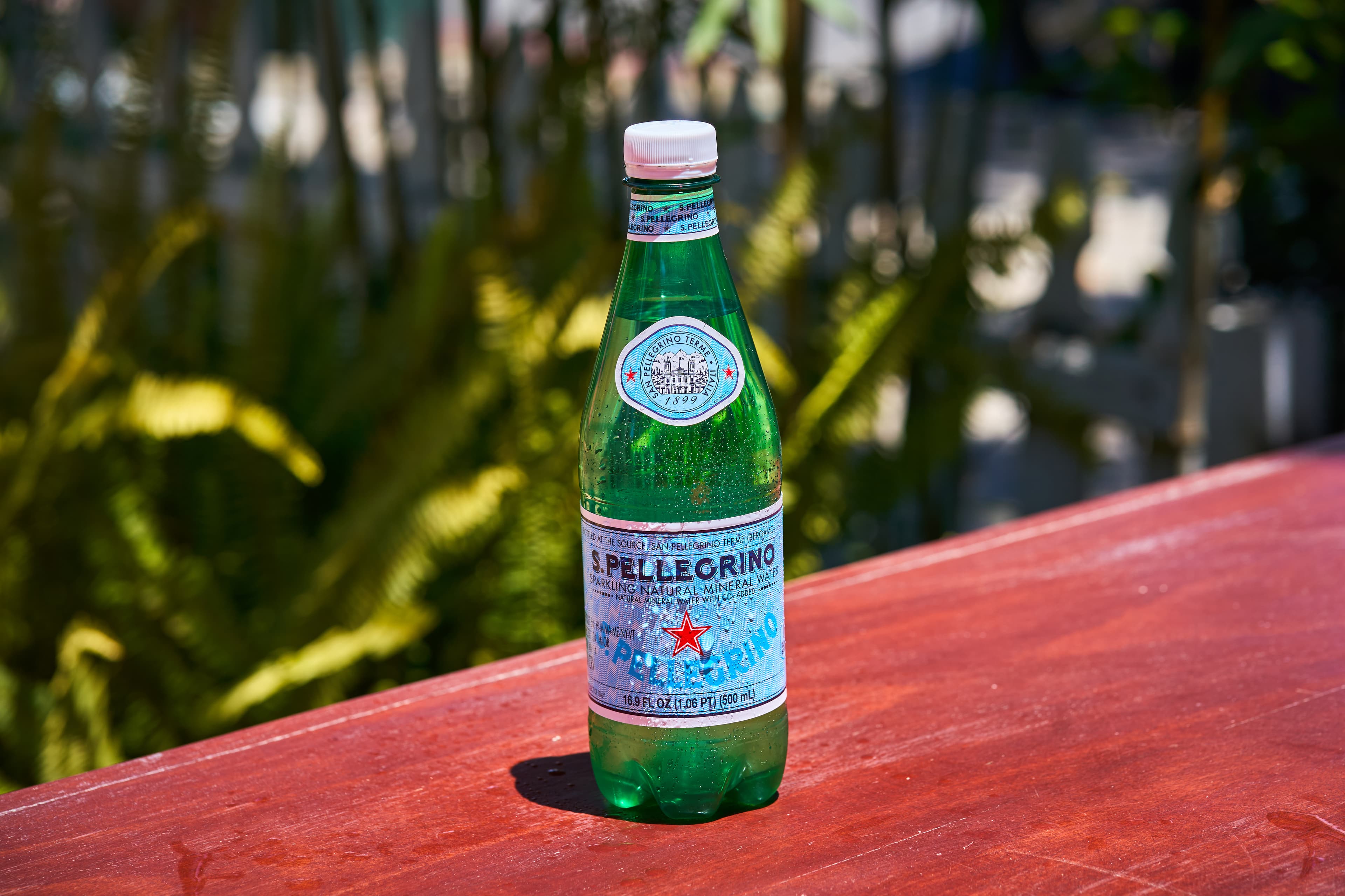 Pelgrino